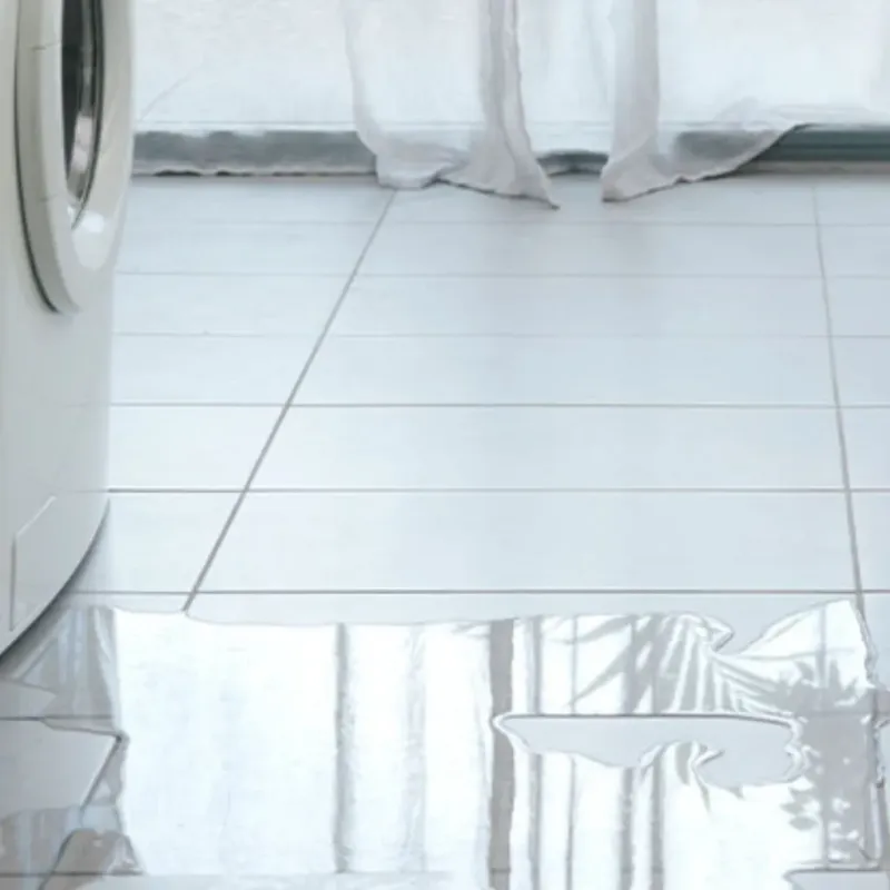 Appliance Leak Cleanup in Portland, WI