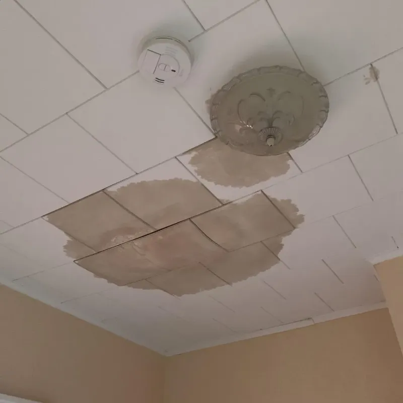 Ceiling Water Damage Repair in Portland, WI