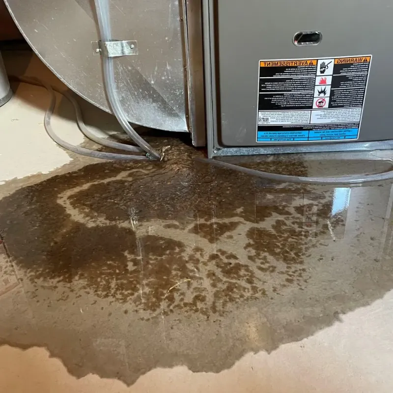 Pipe Burst and Leak Restoration in Portland, WI